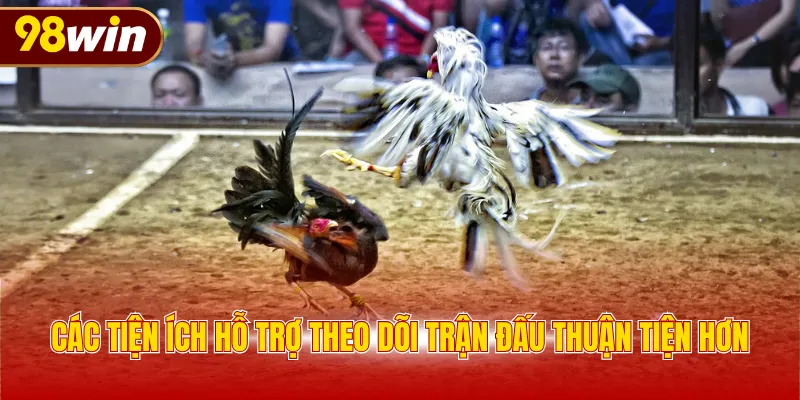 Các tiện ích hỗ trợ theo dõi trận đấu thuận tiện hơn