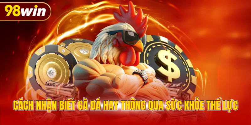 Cách nhận biết gà đá hay thông qua sức khỏe thể lực