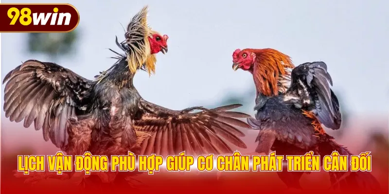 Lịch vận động phù hợp giúp cơ chân phát triển cân đối